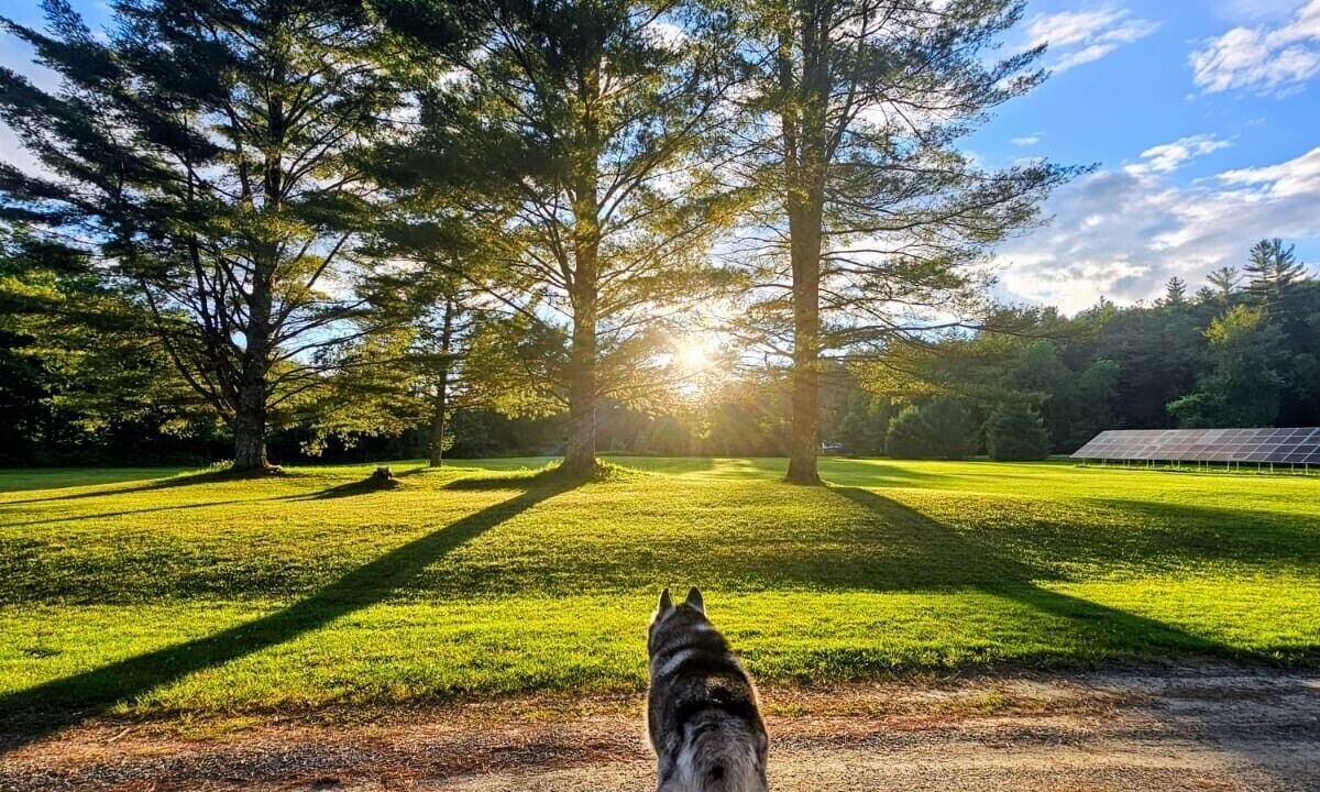 Photo of Outdoor in Hancock