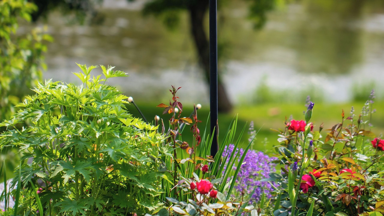 Photo of Outdoor in Woodstock