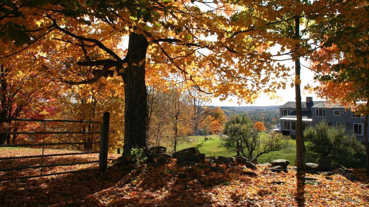 Photo of Outdoor in Loudon