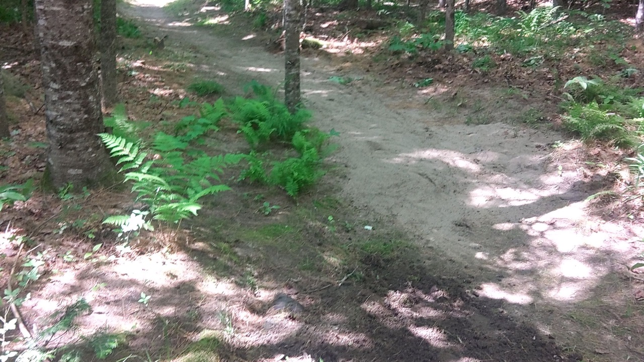 Photo of Others in Warren