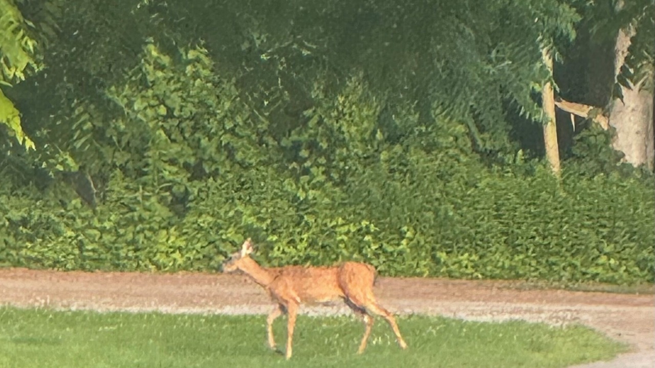 Photo of Others in Crown Point