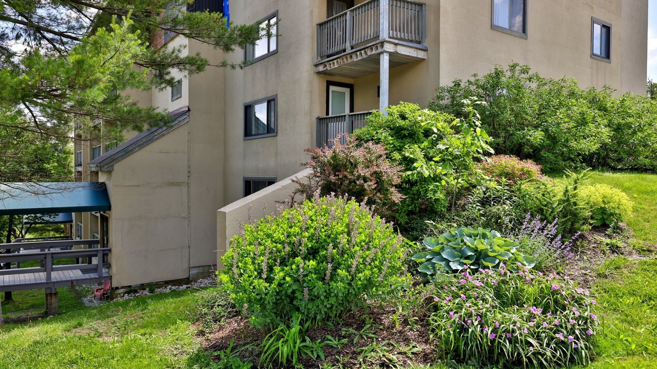 Photo of Outdoor in Killington