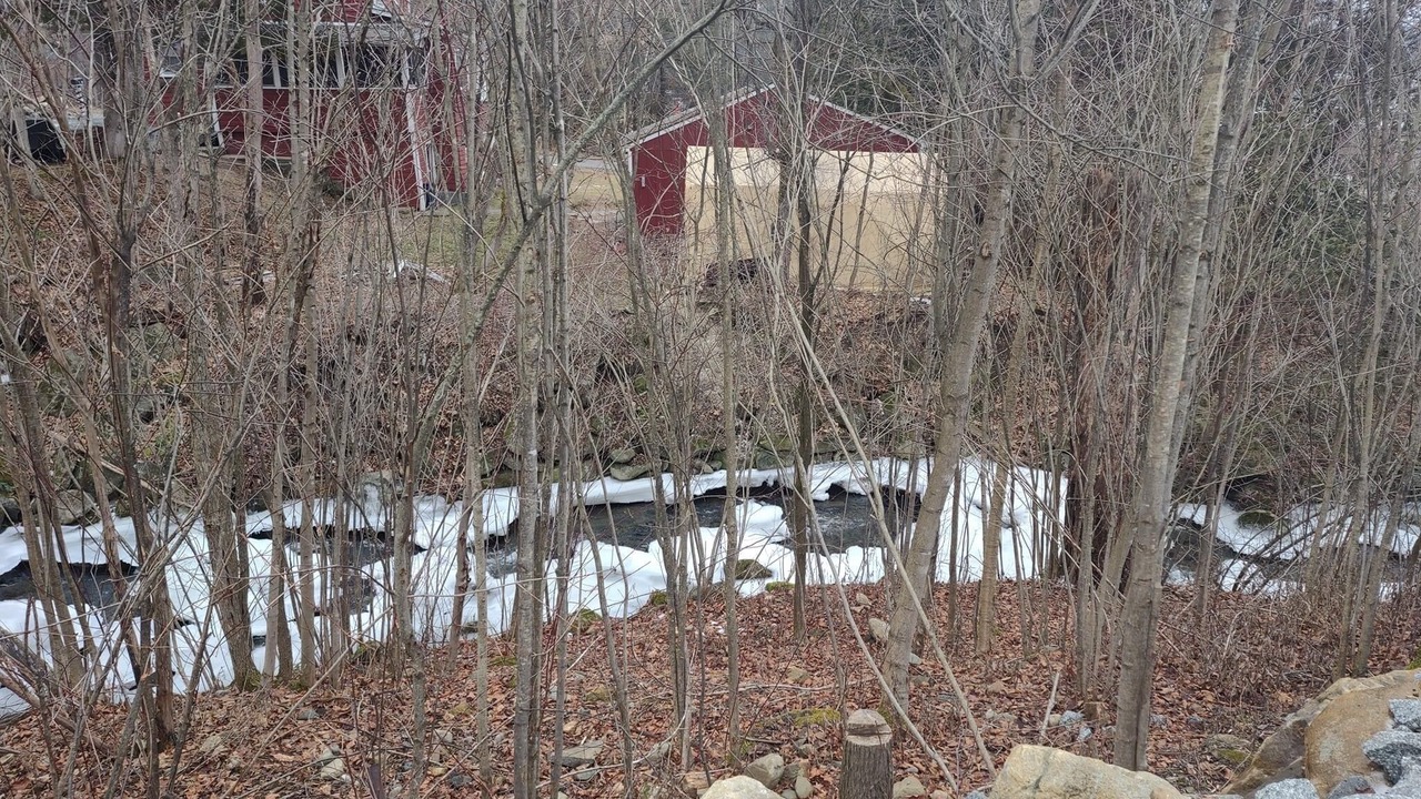Photo of Outdoor in Littleton