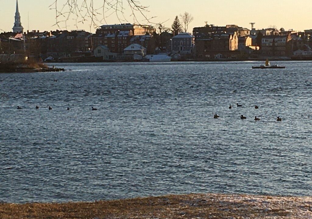 Photo of Others in Kittery