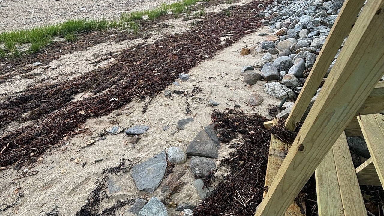 Photo of Others in Yarmouth