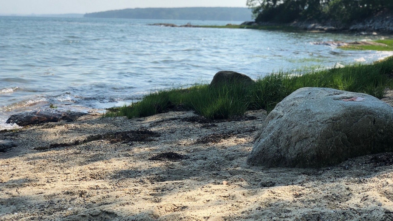 Photo of Others in Yarmouth