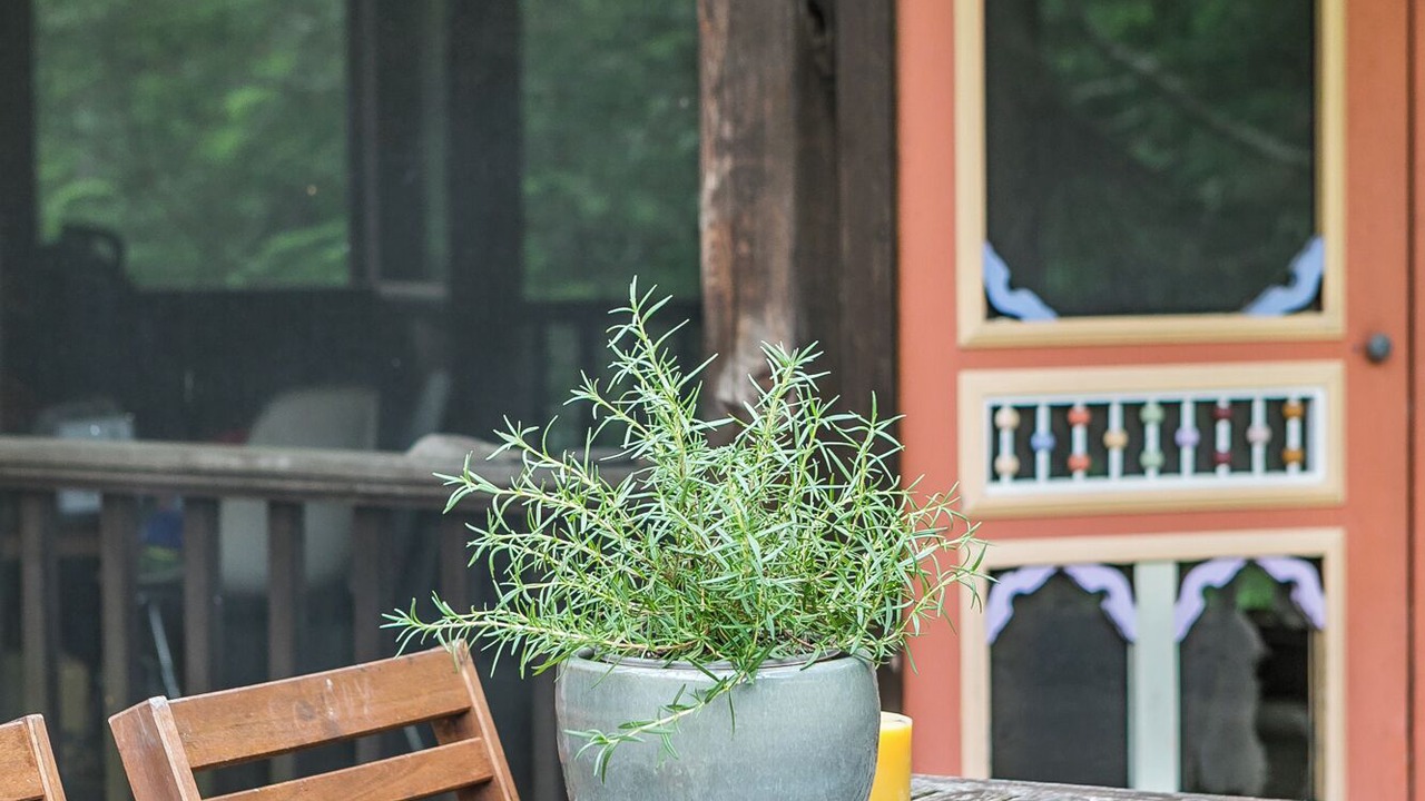 Photo of Outdoor in Willow