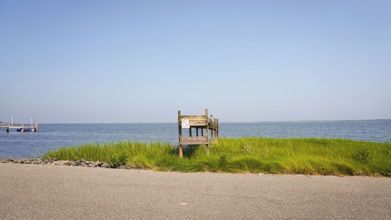 Photo of Others in Mastic Beach