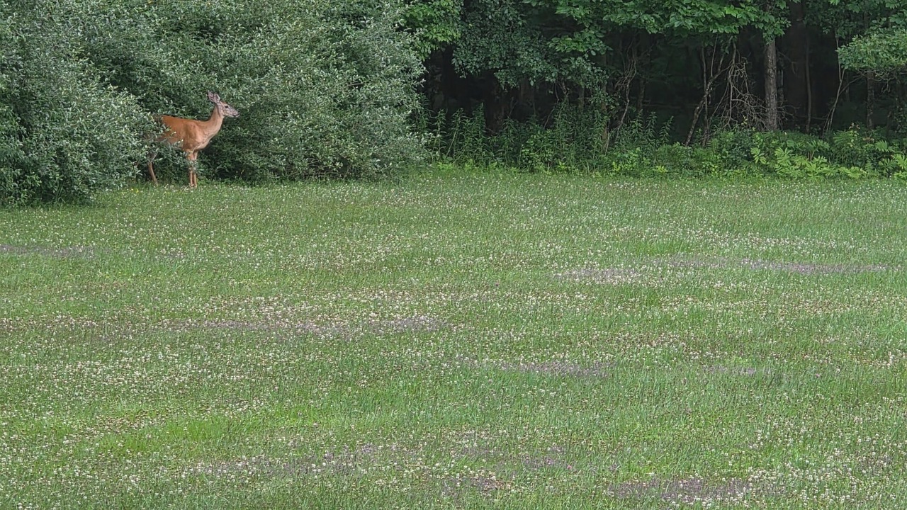 Photo of Others in Middle Grove