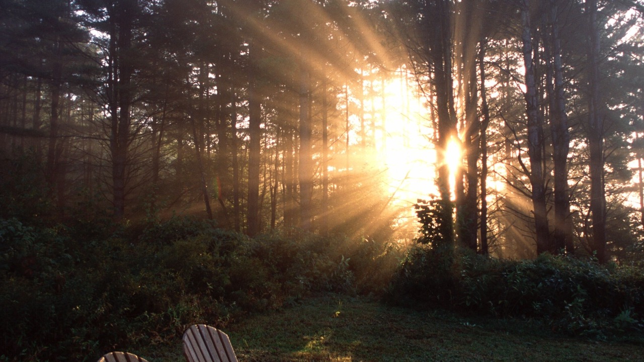 Photo of Outdoor in Brookline