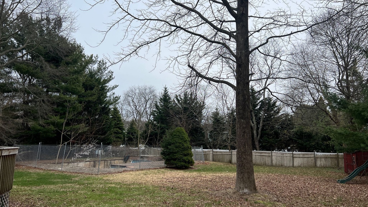 Photo of Outdoor in East Setauket