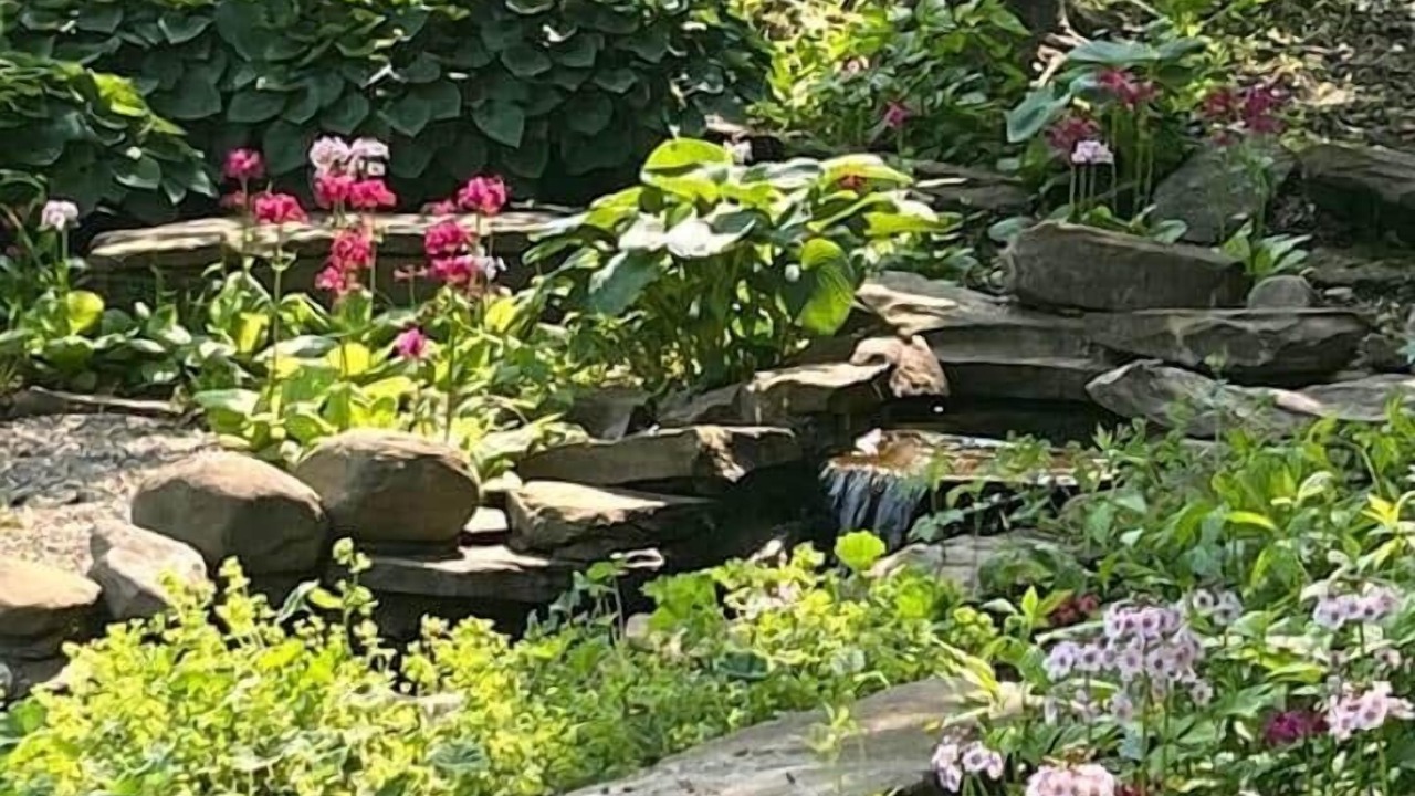Photo of Outdoor in Willoughby Hills