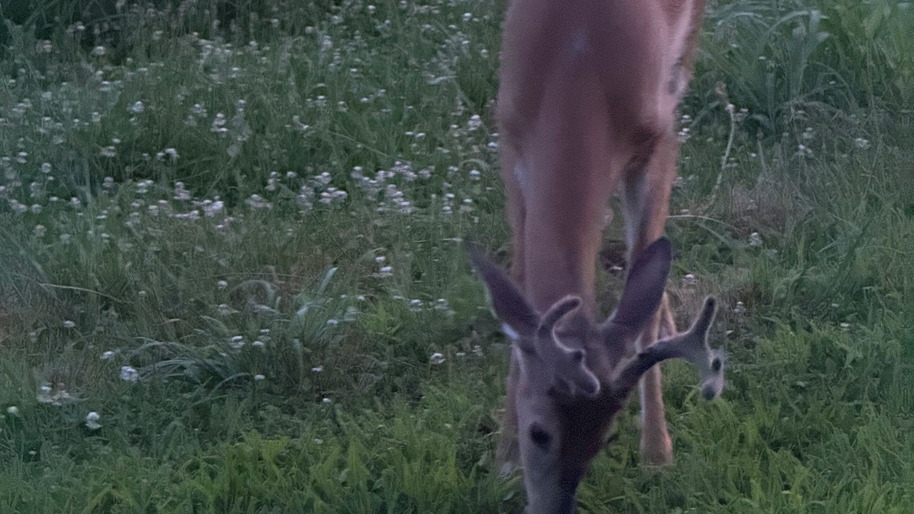 Photo of Others in West Columbia
