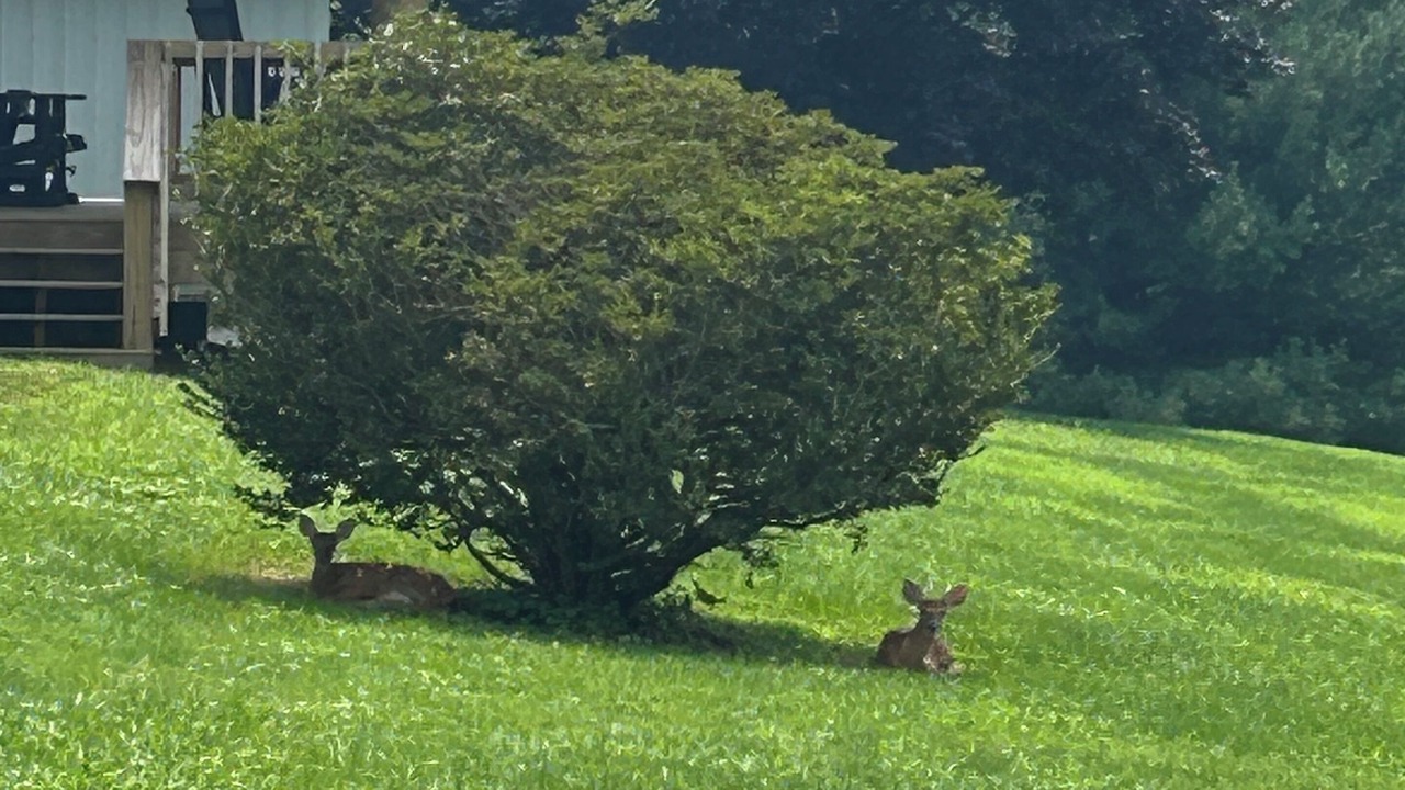Photo of Outdoor in West Columbia