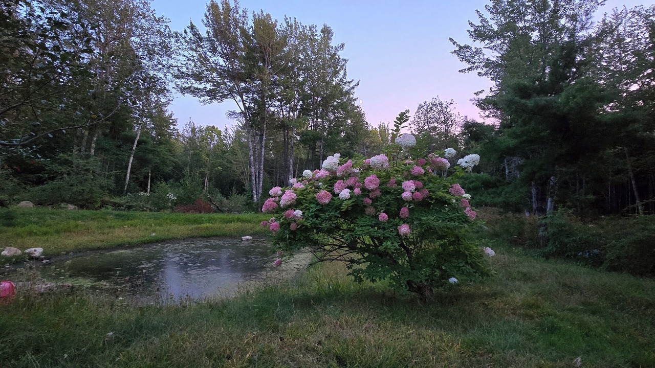 Photo of Outdoor in Lincolnville