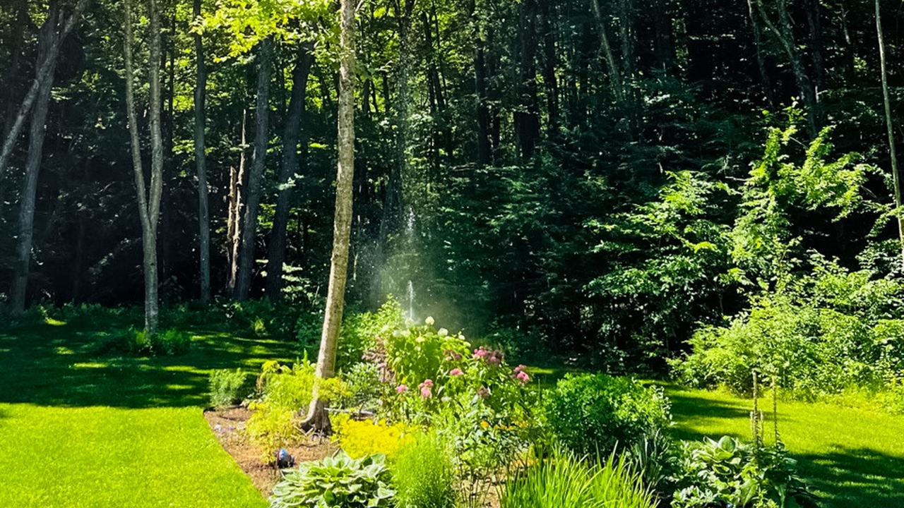 Photo of Outdoor in Newfane