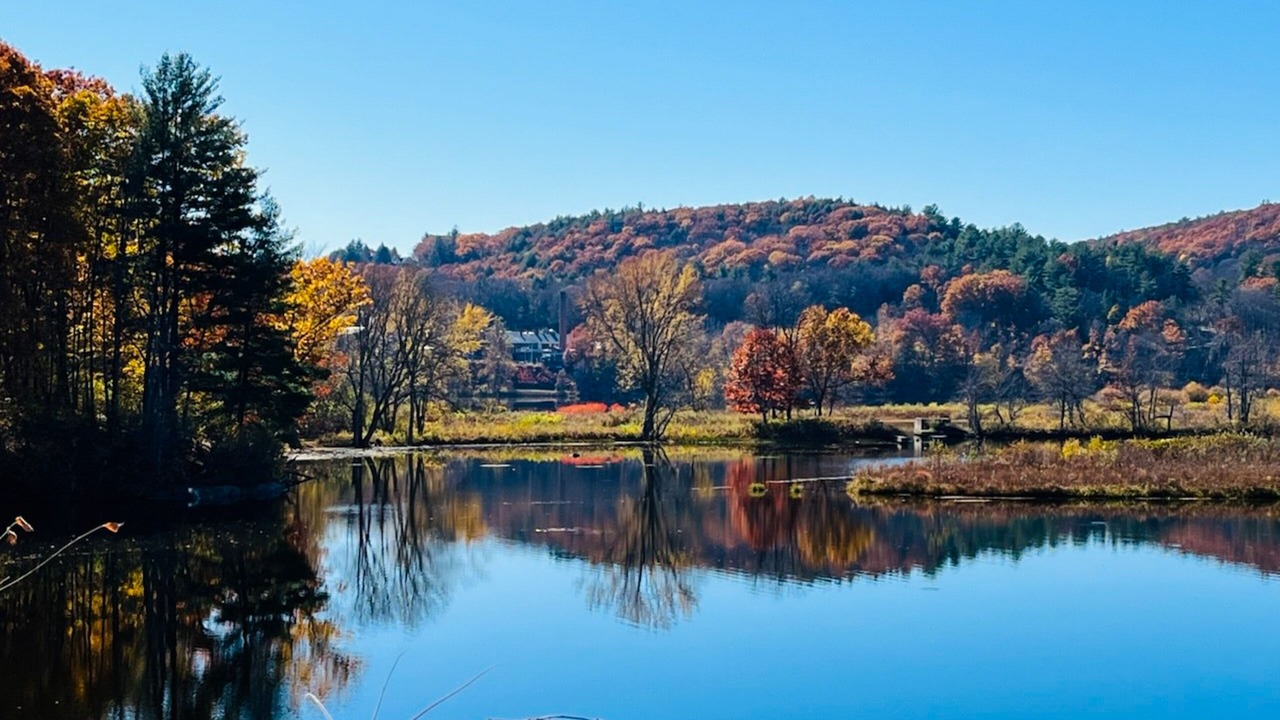 Photo of Others in Newfane