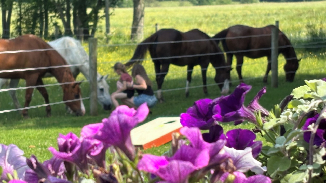 Photo of Others in French Creek