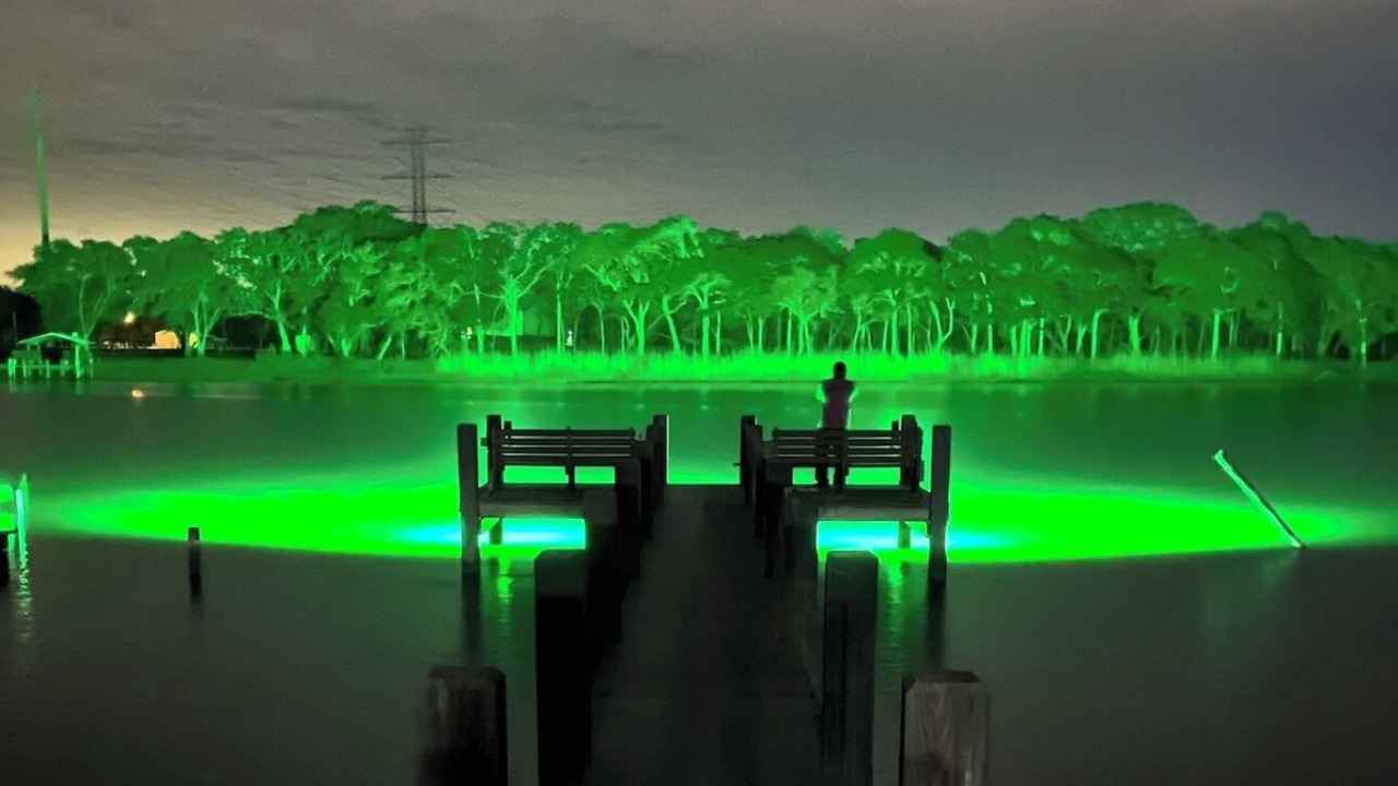 Photo of Others in Brazoria