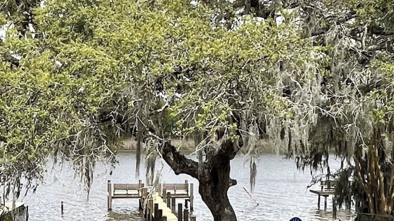 Photo of Outdoor in Brazoria