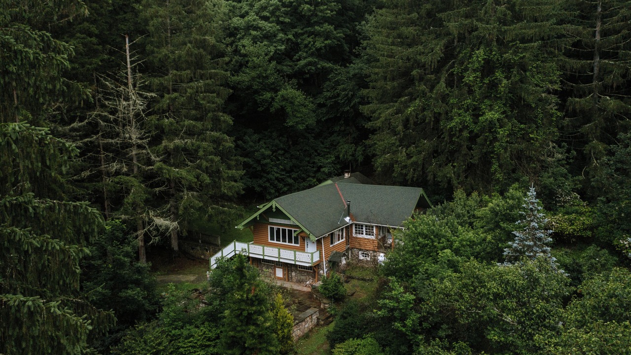 Photo of Outdoor in Oliverea