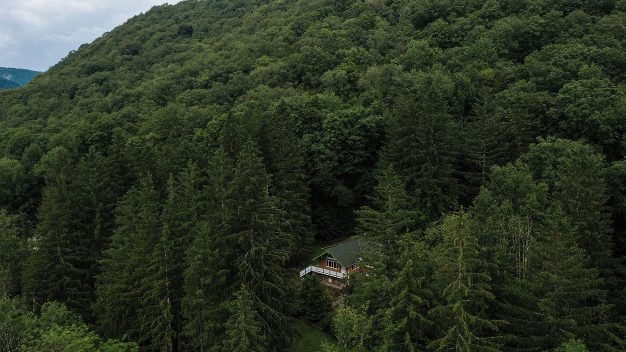 Photo of Others in Oliverea