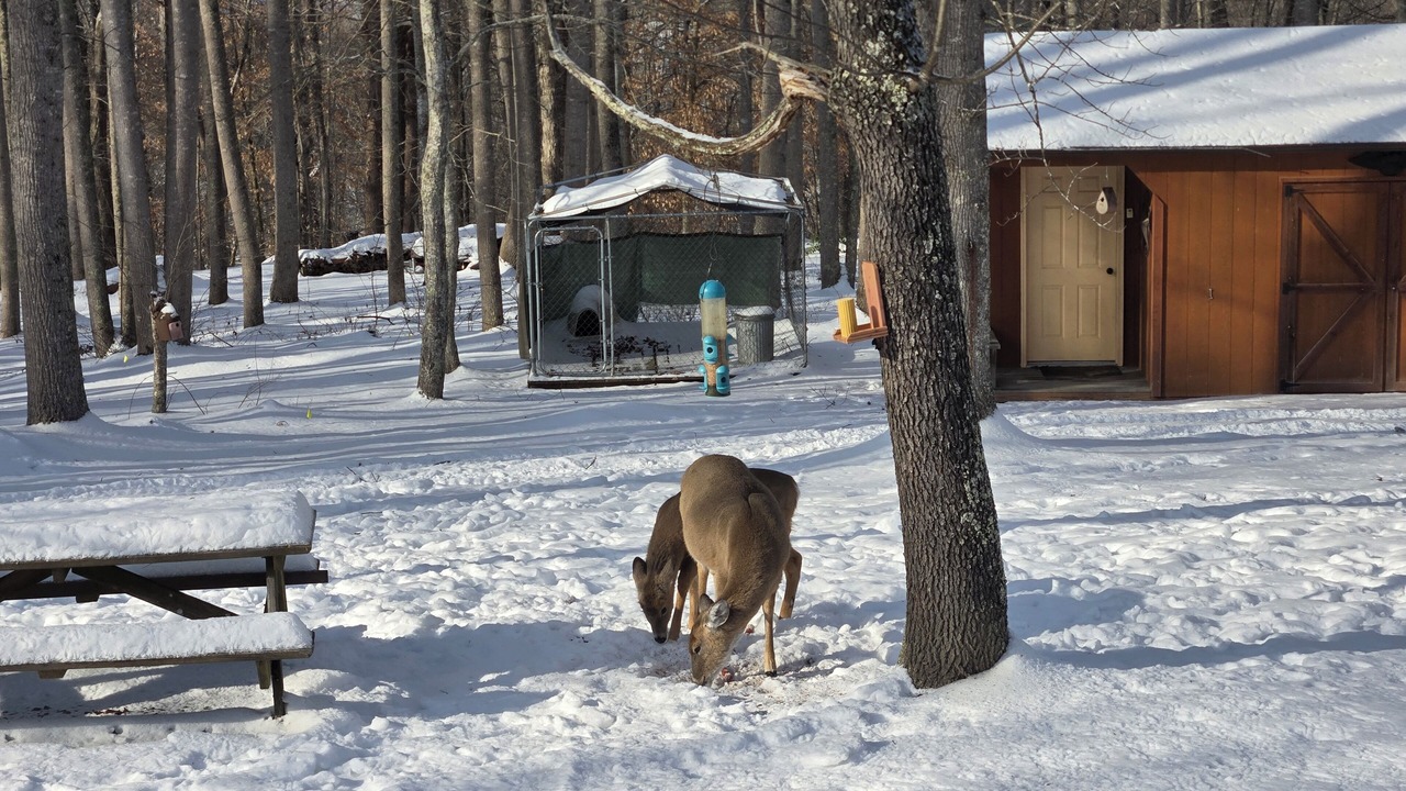 Photo of Outdoor in Alderson
