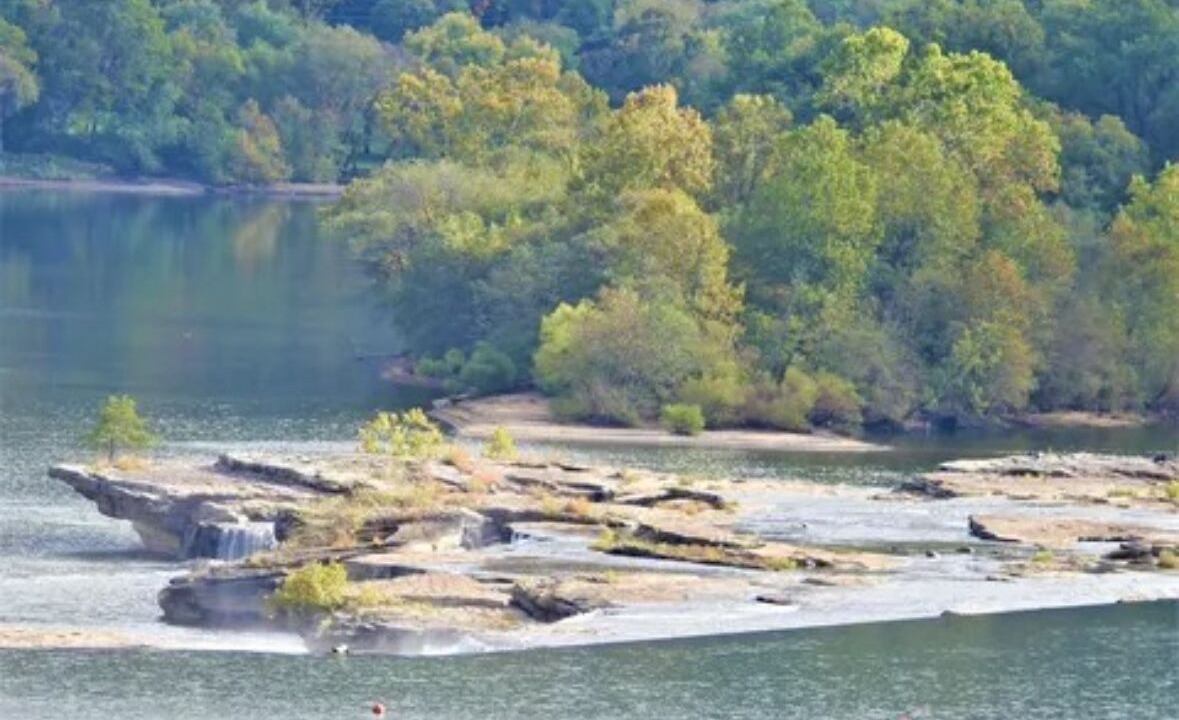 Photo of Others in Charlton Heights