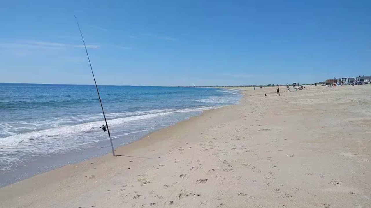 Photo of Others in Seabrook