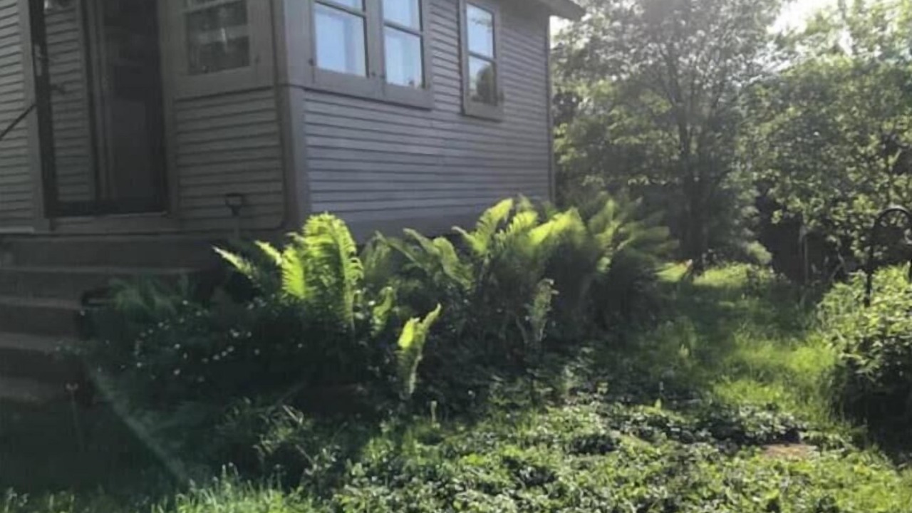 Photo of Outdoor in Adams