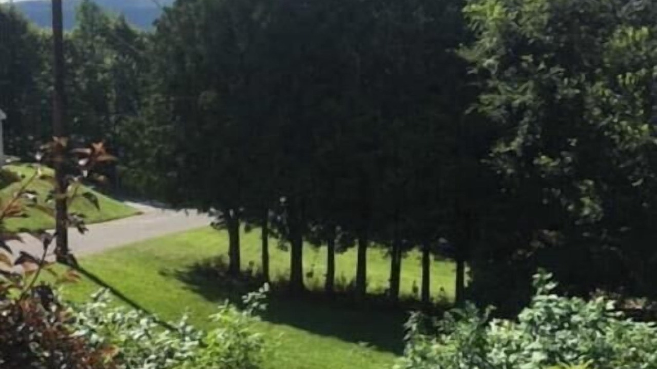 Photo of Outdoor in Adams