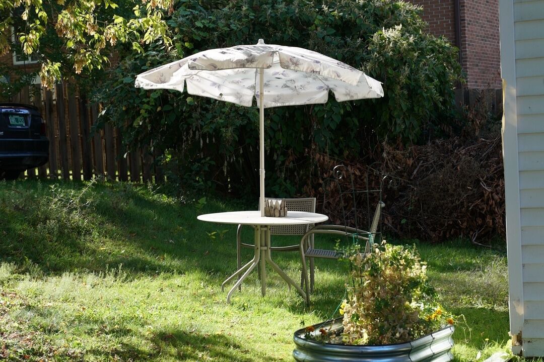 Photo of Outdoor in St. Albans
