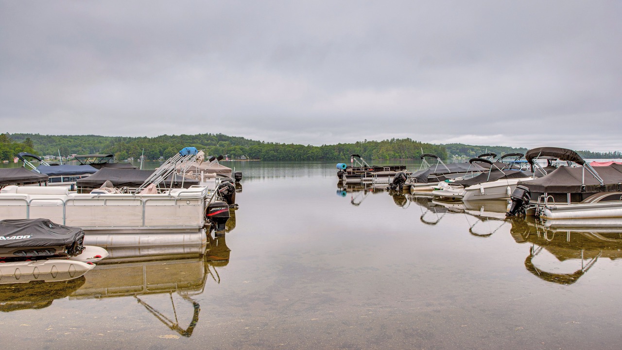 Photo of Others in Lochmere