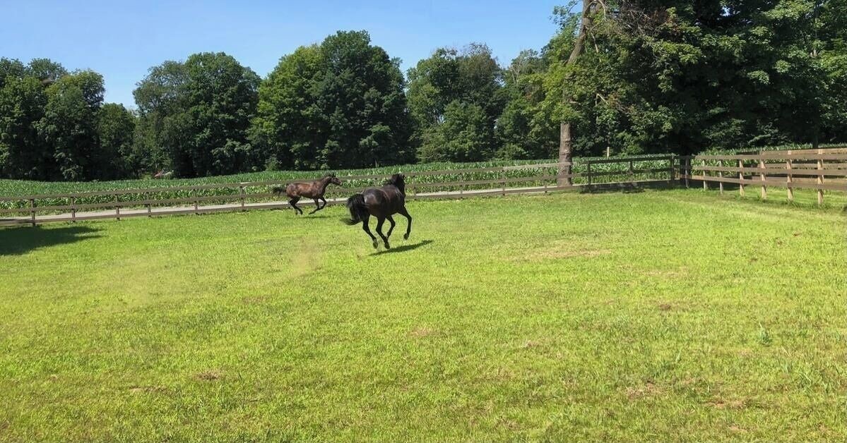 Photo of Others in Schuylerville