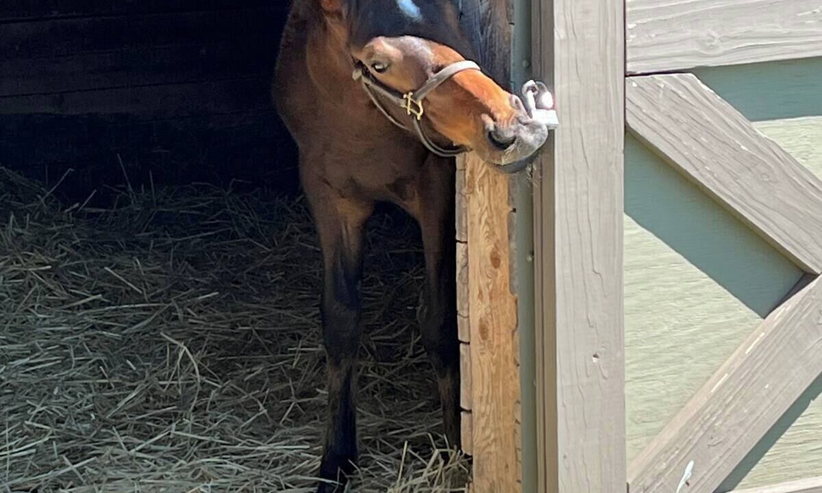 Photo of Others in Schuylerville