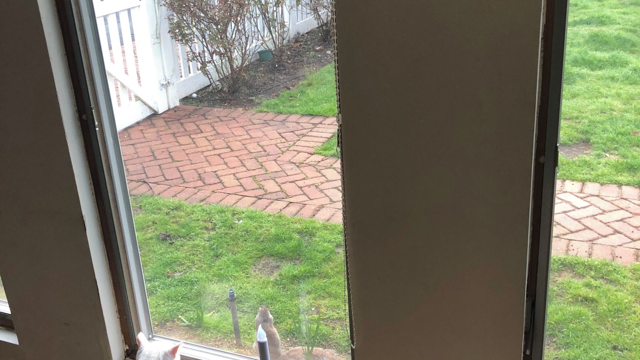 Photo of Others in Roslyn Heights