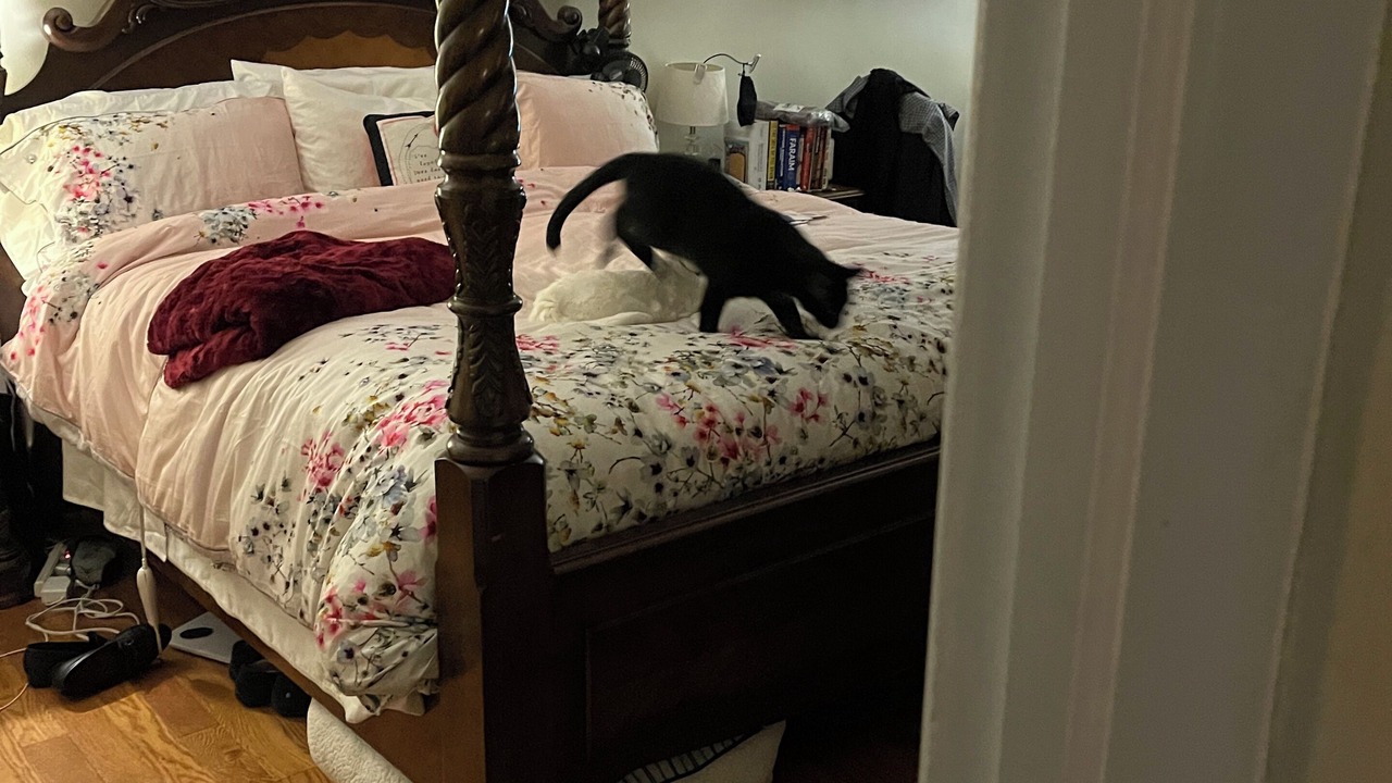 Photo of Bedroom in Roslyn Heights