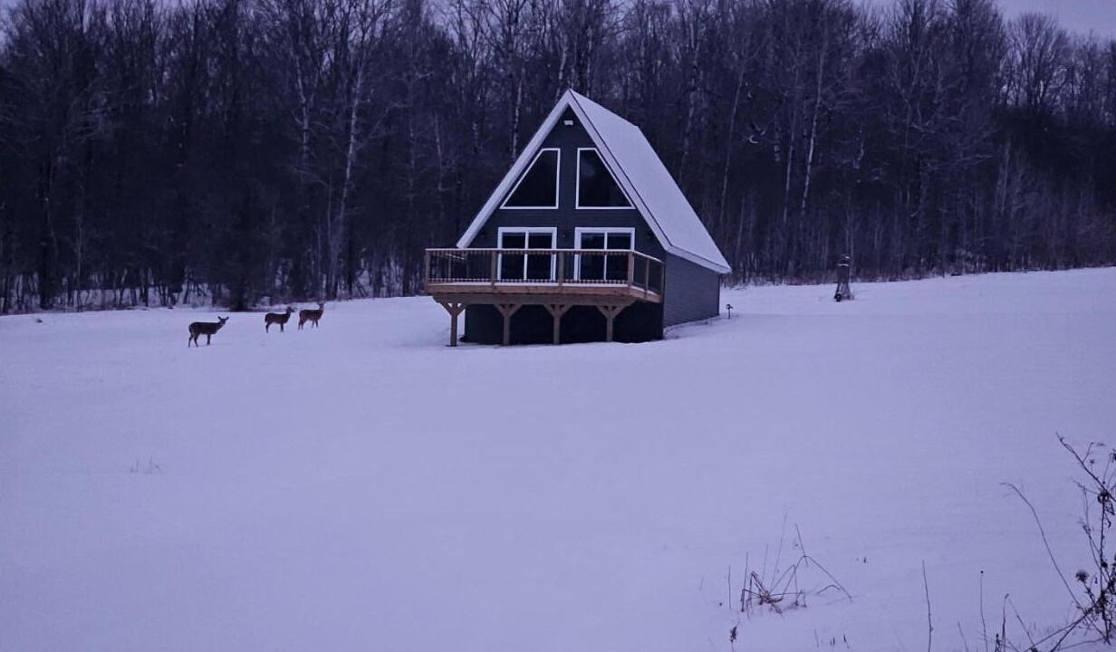 Photo of Outdoor in Port Crane