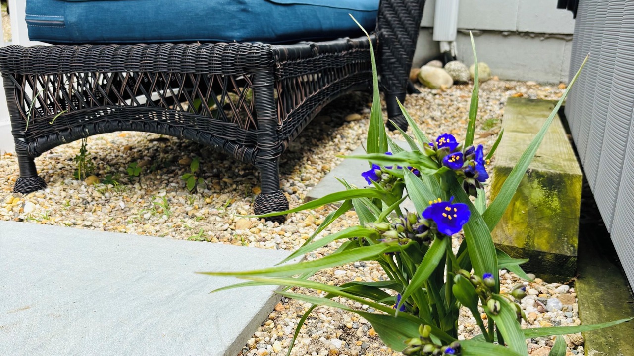 Photo of Patio Balcony in Culloden Shores