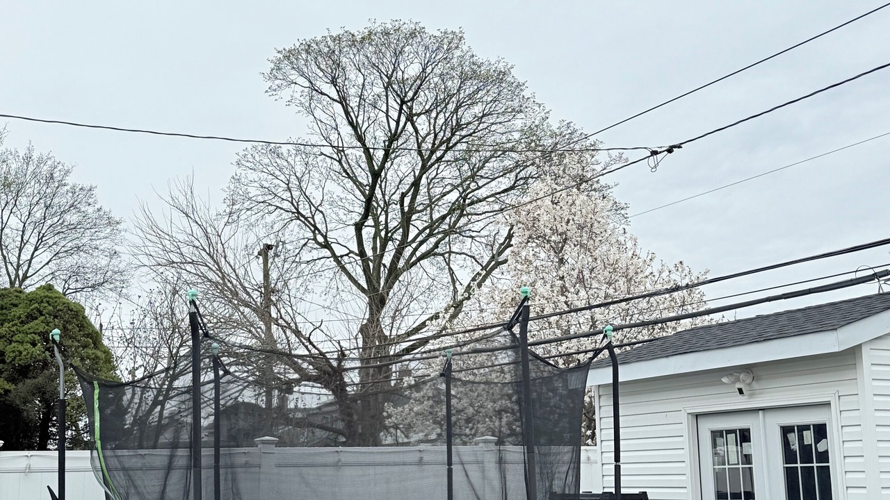 Photo of Outdoor in Levittown