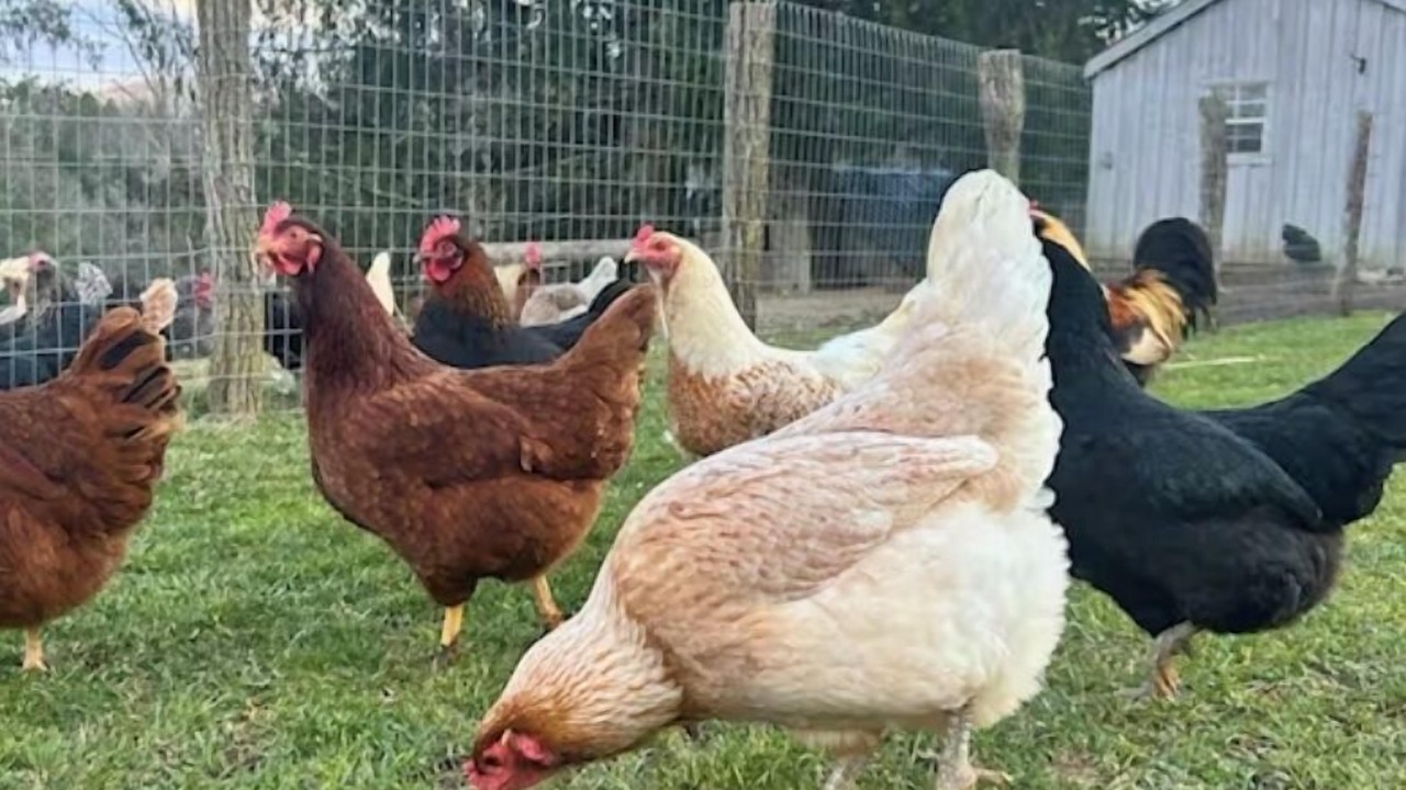 Photo of Others in West End