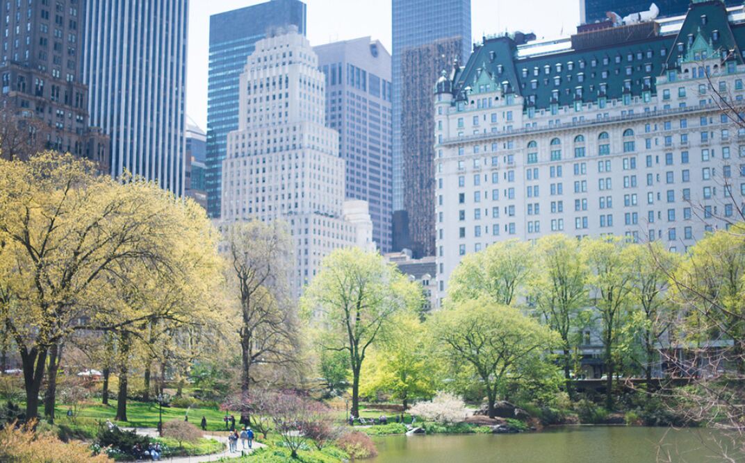 Photo of Others in Upper East Side