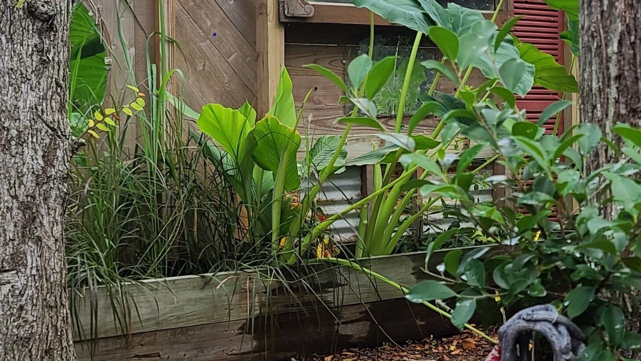 Photo of Outdoor in Dickinson