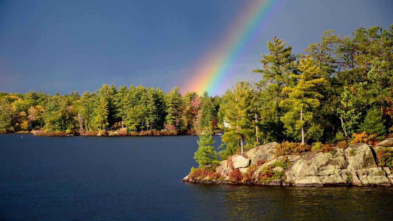 Photo of Others in Gilford