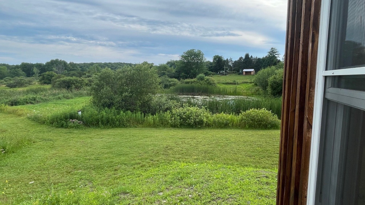 Photo of Outdoor in Norwich