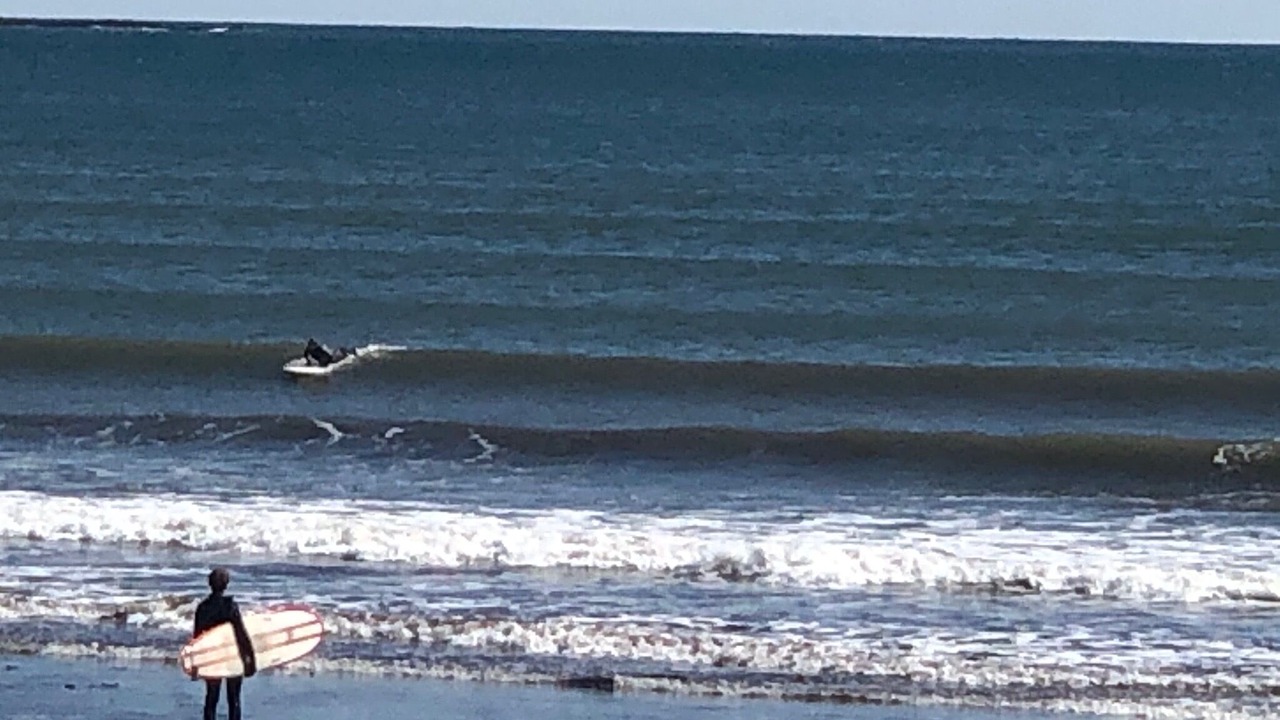 Photo of Others in Higgins Beach