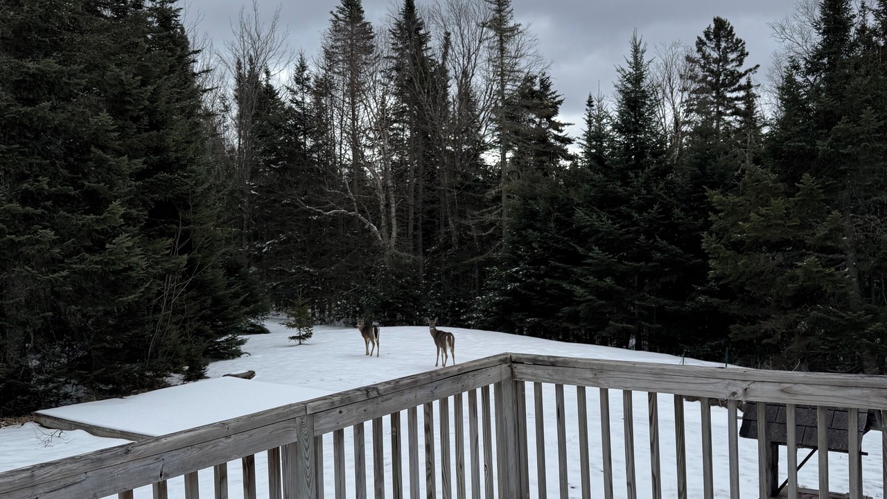 Photo of Outdoor in Rangeley