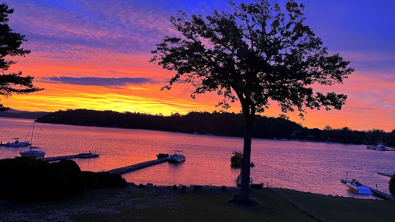 Photo of Others in Malletts Bay