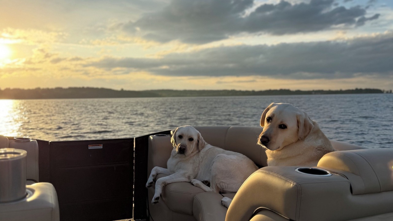 Photo of Others in Malletts Bay