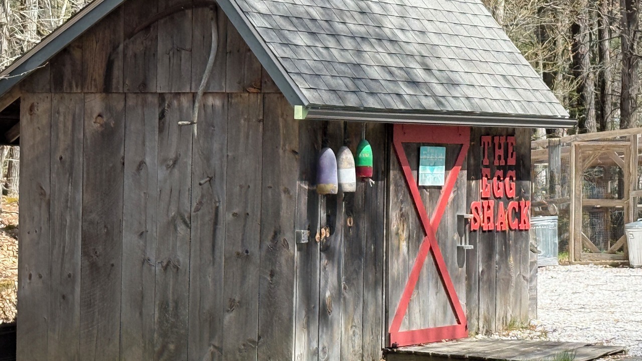 Photo of Others in Cape Neddick